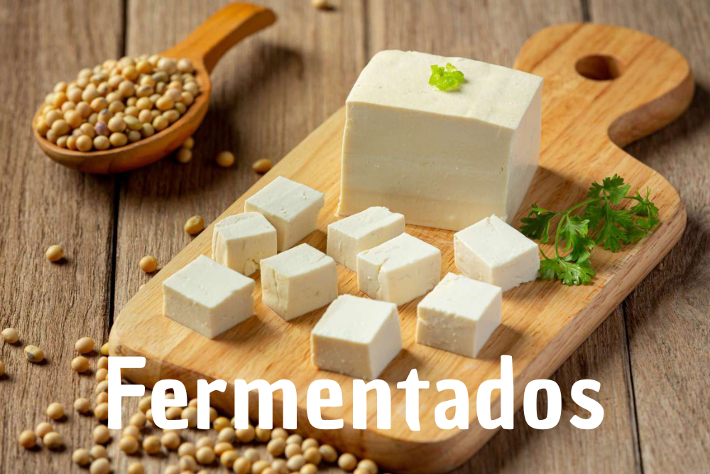 tofu fermentados japoneses