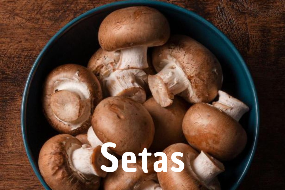 seta shitake japonesa